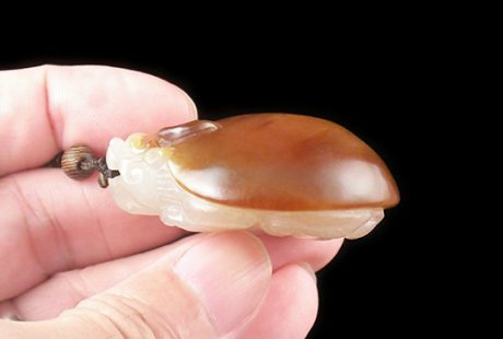 和田玉茦紅皮-龍龜手把件