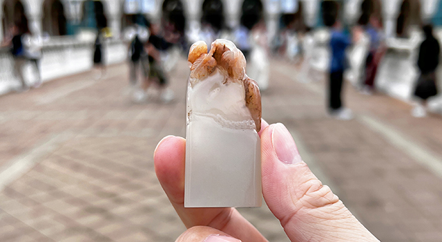 壽山巧色豬油白-碩果鈕日形章