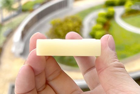 壽山石三彩芙蓉-滿堂福壽長牌章