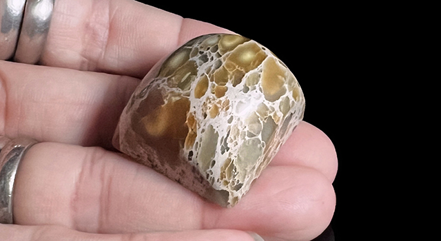 (2025年11月22號小雪免費送)壽山花坑石-素體正方章