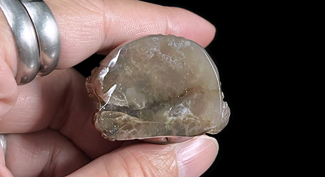 壽山石牛角凍一鳴驚人鈕橢圓章