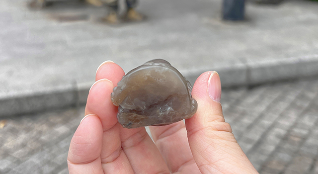 壽山石牛角凍一鳴驚人鈕橢圓章