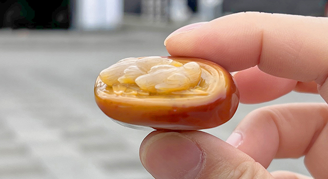 壽山三彩高山-兩小無猜橢圓章